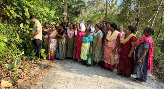 നാറാണംമൂഴി പഞ്ചായത്തിലെ പൊതുഇടങ്ങളും വിദ്യാലയങ്ങളും മാലിന്യമുക്തമാക്കി സംരക്ഷിക്കുന്നതിനായി ‘റോസ് ഗാർ ദിനം’ പദ്ധതിക്ക് തുടക്കമായി നാറാണംമൂഴി പഞ്ചായത്തിലെ പൊതുഇടങ്ങളും വിദ്യാലയങ്ങളും മാലിന്യമുക്തമാക്കി സംരക്ഷിക്കുന്നതിനായി ‘റോസ് ഗാർ ദിനം’ പദ്ധതിക്ക് തുടക്കമായി