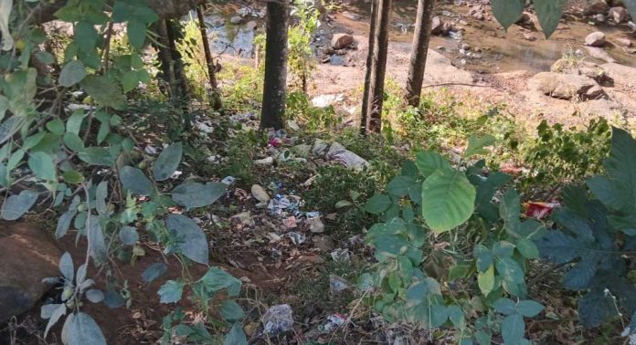 തോട്ടില് കക്കൂസ് മാലിന്യം തള്ളിയതായി പരാതി തോട്ടില് കക്കൂസ് മാലിന്യം തള്ളിയതായി പരാതി