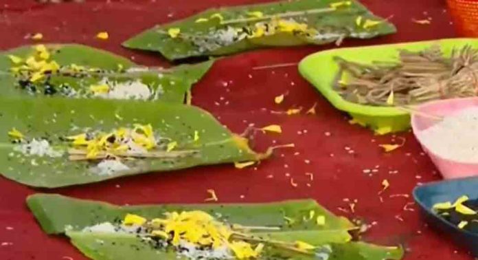 ആലുവ മണപ്പുറത്ത് പതിനായിരങ്ങൾ ബലിതർപ്പണം നടത്തി ; ഇന്ന് ഉച്ചവരെ തർപ്പണം തുടരും ആലുവ മണപ്പുറത്ത് പതിനായിരങ്ങൾ ബലിതർപ്പണം നടത്തി ; ഇന്ന് ഉച്ചവരെ തർപ്പണം തുടരും