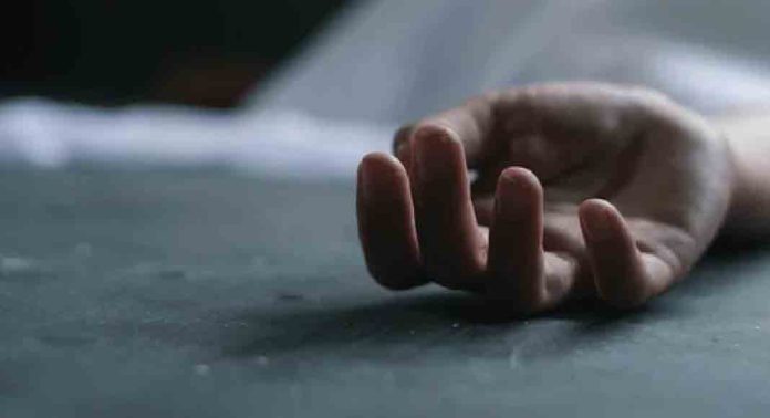 ചക്കയിടാൻ കയറുമ്പോൾ മതിലില് നിന്നും വീണ് ഗൃഹനാഥൻ മരിച്ചു ചക്കയിടാൻ കയറുമ്പോൾ മതിലില് നിന്നും വീണ് ഗൃഹനാഥൻ മരിച്ചു