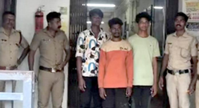 ഇളമണ്ണൂര് വാഹനാപകടം ; പ്രതികള്ക്കെതിരെ പോലീസ് ജാമ്യമില്ലാ വകുപ്പ് ചുമത്തി ഇളമണ്ണൂര് വാഹനാപകടം ; പ്രതികള്ക്കെതിരെ പോലീസ് ജാമ്യമില്ലാ വകുപ്പ് ചുമത്തി