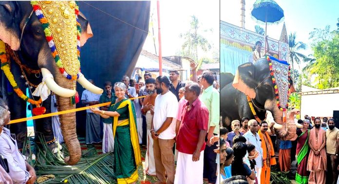 ഈ ആനകൾ ഇടയില്ല – ആലപ്പുഴയിലെ രണ്ട് ക്ഷേത്രങ്ങളിൽ റോബോട്ടിക് ആനകള് ഈ ആനകൾ ഇടയില്ല – ആലപ്പുഴയിലെ രണ്ട് ക്ഷേത്രങ്ങളിൽ റോബോട്ടിക് ആനകള്