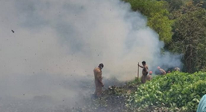 അടൂര് പറന്തലില് തീപിടുത്തം : നാലേക്കറിലധികം ഭൂമി അഗ്നിക്കിരയായി അടൂര് പറന്തലില് തീപിടുത്തം : നാലേക്കറിലധികം ഭൂമി അഗ്നിക്കിരയായി
