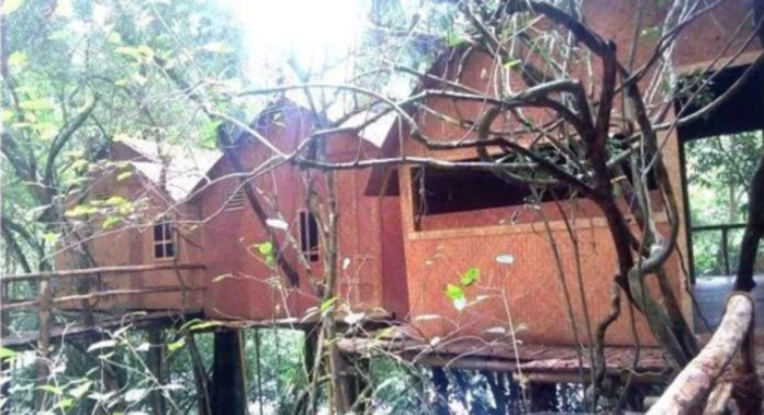 അടവിയിലെ മുളങ്കുടിലുകള് നാശത്തിന്റെ വക്കില് ; പുനരുദ്ധരിക്കാന് തയ്യാറാകാതെ വനം വകുപ്പ് അടവിയിലെ മുളങ്കുടിലുകള് നാശത്തിന്റെ വക്കില് ; പുനരുദ്ധരിക്കാന് തയ്യാറാകാതെ വനം വകുപ്പ്
