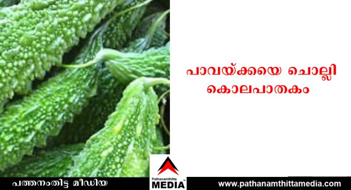 പാവയ്ക്കയെ ചൊല്ലി തർക്കം ; മദ്യപിച്ചെത്തിയ മകൻ അമ്മയെ കൊലപ്പെടുത്തി പാവയ്ക്കയെ ചൊല്ലി തർക്കം ; മദ്യപിച്ചെത്തിയ മകൻ അമ്മയെ കൊലപ്പെടുത്തി
