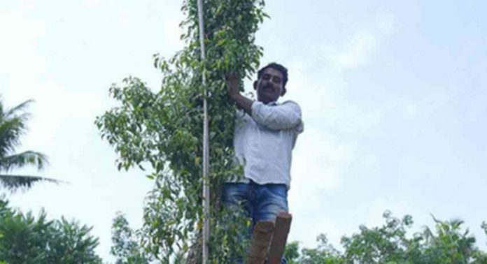 ഏറ്റവും ഉയരം കൂടിയ പച്ചമുളക് ചെടി വളര്ത്തി ഗിന്നസ് റെക്കോഡ് നേടി കല്ലൂപ്പാറക്കാരന് ഏറ്റവും ഉയരം കൂടിയ പച്ചമുളക് ചെടി വളര്ത്തി ഗിന്നസ് റെക്കോഡ് നേടി കല്ലൂപ്പാറക്കാരന്