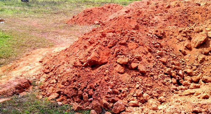 പത്തനംതിട്ടയില് വ്യാപക വയൽനികത്തൽ : കർശന നടപടി സ്വീകരിക്കുമെന്ന് നഗരസഭ പത്തനംതിട്ടയില് വ്യാപക വയൽനികത്തൽ : കർശന നടപടി സ്വീകരിക്കുമെന്ന് നഗരസഭ