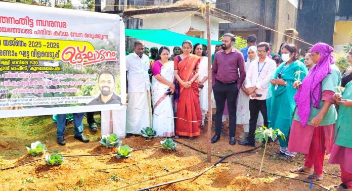 ഫുഡ് സ്കേപ്പിങ്ങ് പദ്ധതി രണ്ടാം ഘട്ട വിളവെടുപ്പ് ആരംഭിച്ചു ഫുഡ് സ്കേപ്പിങ്ങ് പദ്ധതി രണ്ടാം ഘട്ട വിളവെടുപ്പ് ആരംഭിച്ചു
