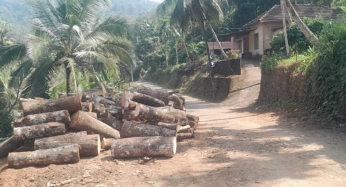 റോഡ് കയ്യേറി തടി കയറ്റിയിറക്ക് ; വാഹനങ്ങള്ക്കും കാല്നടയാത്രക്കാര്ക്കും ഭീഷണി റോഡ് കയ്യേറി തടി കയറ്റിയിറക്ക് ; വാഹനങ്ങള്ക്കും കാല്നടയാത്രക്കാര്ക്കും ഭീഷണി