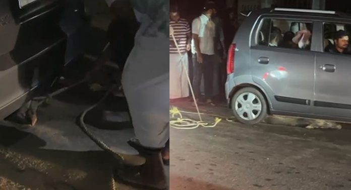 കോഴിക്കോട് നാദാപുരത്ത് കാട്ടുപന്നി കാറിനടിയിൽ കുടുങ്ങി കോഴിക്കോട് നാദാപുരത്ത് കാട്ടുപന്നി കാറിനടിയിൽ കുടുങ്ങി