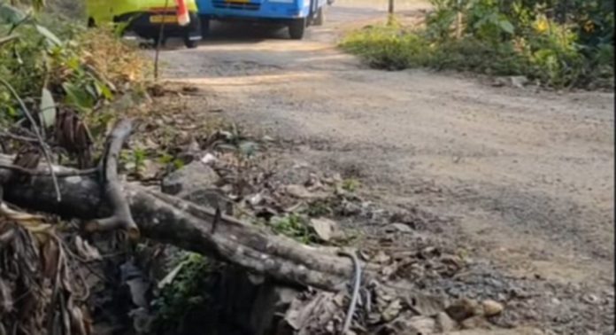 ചിറ്റാര് – മണക്കയം പാലം റോഡിലെ കലുങ്ക് അപകടാവസ്ഥയില് ചിറ്റാര് – മണക്കയം പാലം റോഡിലെ കലുങ്ക് അപകടാവസ്ഥയില്