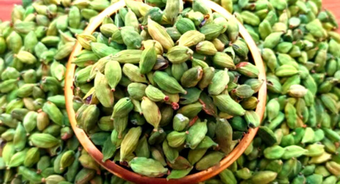 ഏലയ്ക്ക ഉൽപാദനം കുറഞ്ഞിട്ടും വില ഇടിയുന്നു ; കർഷകർക്ക് കനത്ത ആശങ്ക ഏലയ്ക്ക ഉൽപാദനം കുറഞ്ഞിട്ടും വില ഇടിയുന്നു ; കർഷകർക്ക് കനത്ത ആശങ്ക