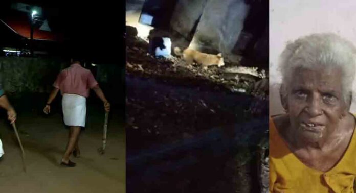 തൃശൂര് എരുമപ്പെട്ടിയിൽ വയോധികയെ കടിച്ചുകൊന്ന നായയെ പിടികൂടി തൃശൂര് എരുമപ്പെട്ടിയിൽ വയോധികയെ കടിച്ചുകൊന്ന നായയെ പിടികൂടി