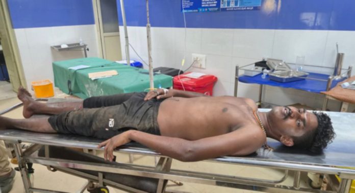 അടൂര് തട്ടയില് കാട്ടുപന്നി ആക്രമണത്തില് യുവാവിന് പരിക്ക് അടൂര് തട്ടയില് കാട്ടുപന്നി ആക്രമണത്തില് യുവാവിന് പരിക്ക്