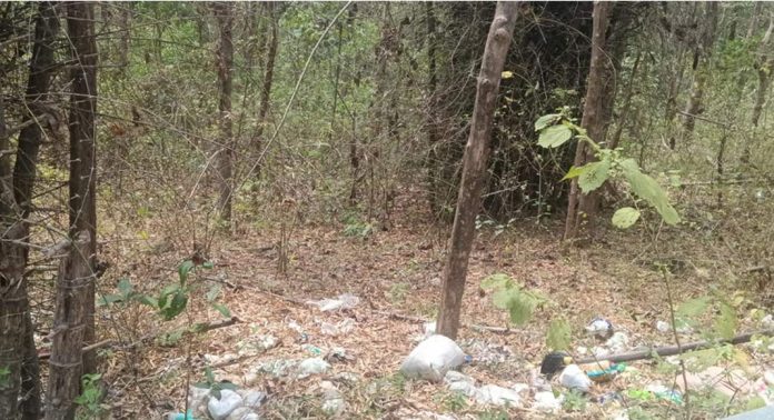 റാന്നി കരികുളം സംരക്ഷിത വനമേഖല പ്ലാസ്റ്റിക് മാലിന്യങ്ങളുടെ പിടിയിൽ റാന്നി കരികുളം സംരക്ഷിത വനമേഖല പ്ലാസ്റ്റിക് മാലിന്യങ്ങളുടെ പിടിയിൽ