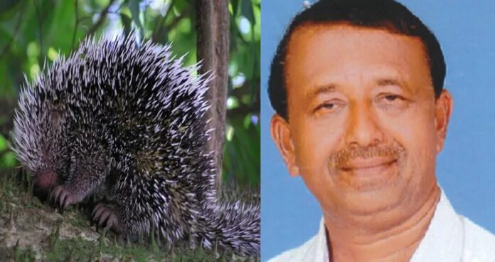 മുള്ളൻപ്പന്നിയെ കൊന്ന കേസിൽ വെള്ളനാട് ശശിയുടെ മുൻകൂർ ജാമ്യാപേക്ഷ തള്ളി കോടതി മുള്ളൻപ്പന്നിയെ കൊന്ന കേസിൽ വെള്ളനാട് ശശിയുടെ മുൻകൂർ ജാമ്യാപേക്ഷ തള്ളി കോടതി
