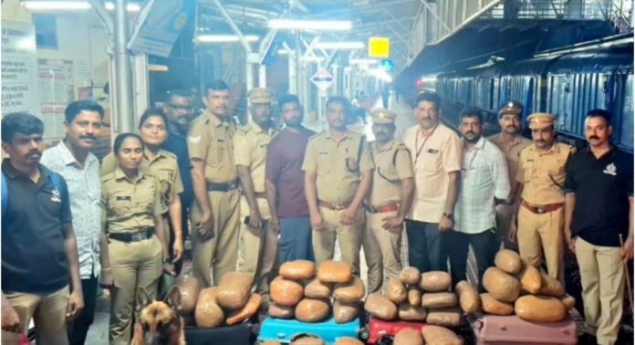 ചെങ്ങന്നൂരിൽ 50 കിലോ കഞ്ചാവുമായി എറണാകുളം സ്വദേശി അറസ്റ്റിലായി ചെങ്ങന്നൂരിൽ 50 കിലോ കഞ്ചാവുമായി എറണാകുളം സ്വദേശി അറസ്റ്റിലായി