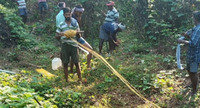 കാട്ടാന ശല്യം നിയന്ത്രിക്കാന് കല്ലേലിയില് ഹാങ്ങിംഗ് സോളാര് ഫെന്സിംഗ് സ്ഥാപിക്കുന്ന ജോലികള് ആരംഭിച്ചു കാട്ടാന ശല്യം നിയന്ത്രിക്കാന് കല്ലേലിയില് ഹാങ്ങിംഗ് സോളാര് ഫെന്സിംഗ് സ്ഥാപിക്കുന്ന ജോലികള് ആരംഭിച്ചു