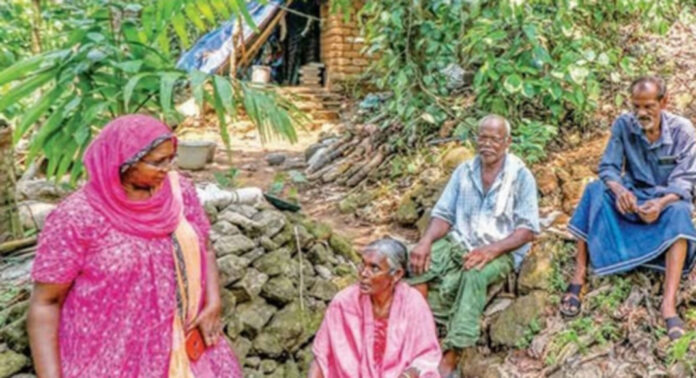 ആനയും പുലിയും കാടിറങ്ങുന്നു ; വീടുകള് ഉപേക്ഷിച്ച് കമ്പകത്തുംപച്ച പ്രദേശവാസികള് ആനയും പുലിയും കാടിറങ്ങുന്നു ; വീടുകള് ഉപേക്ഷിച്ച് കമ്പകത്തുംപച്ച പ്രദേശവാസികള്