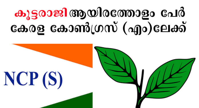 എൻ.സി.പി (എസ്) യിൽ കൂട്ടരാജി ; ആട്ടുകാൽ അജിയുടെ നേതൃത്വത്തിൽ ആയിരത്തോളം പേർ കേരള കോൺഗ്രസ് (എം)ലേക്ക് എൻ.സി.പി (എസ്) യിൽ കൂട്ടരാജി ; ആട്ടുകാൽ അജിയുടെ നേതൃത്വത്തിൽ ആയിരത്തോളം പേർ കേരള കോൺഗ്രസ് (എം)ലേക്ക്
