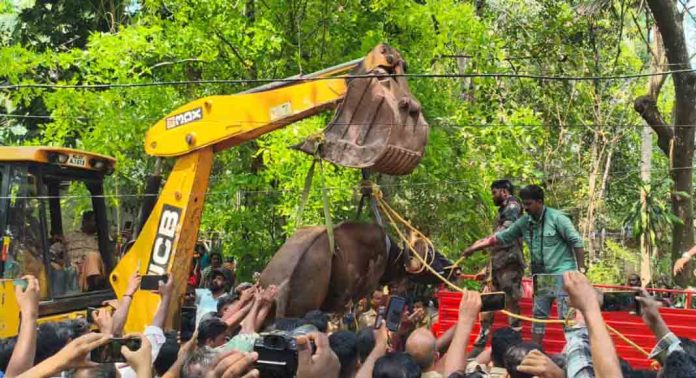 ദിവസങ്ങളോളം നാട്ടുകാരെ ഭീതിയിലാക്കിയ കാട്ടുപോത്തിനെ മയക്കുവെടിവച്ച് പിടിച്ചു ദിവസങ്ങളോളം നാട്ടുകാരെ ഭീതിയിലാക്കിയ കാട്ടുപോത്തിനെ മയക്കുവെടിവച്ച് പിടിച്ചു
