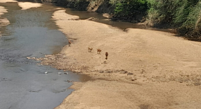 പത്തനംതിട്ട ജില്ലയിലെ മലയോര മേഖലയിലെ കിണറുകള് വറ്റിവരളുന്നു പത്തനംതിട്ട ജില്ലയിലെ മലയോര മേഖലയിലെ കിണറുകള് വറ്റിവരളുന്നു