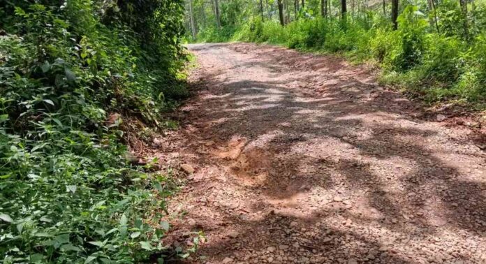 റാന്നി മക്കപ്പുഴ – കണ്ണങ്കര റോഡ് തകർന്നു ; യാത്രാക്ലേശം രൂക്ഷം റാന്നി മക്കപ്പുഴ – കണ്ണങ്കര റോഡ് തകർന്നു ; യാത്രാക്ലേശം രൂക്ഷം