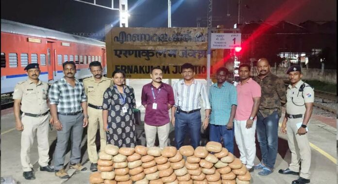 എറണാകുളം സൗത്ത് റെയിൽവേ സ്റ്റേഷനിൽ വൻ കഞ്ചാവ് വേട്ട എറണാകുളം സൗത്ത് റെയിൽവേ സ്റ്റേഷനിൽ വൻ കഞ്ചാവ് വേട്ട