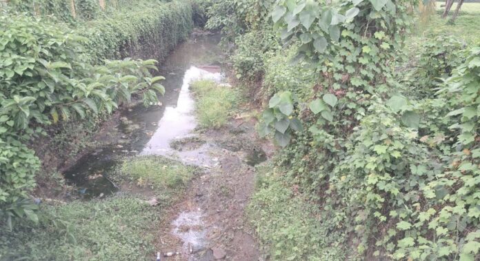 മാലിന്യപുഴയായി റാന്നി വലിയതോട് ; മാലിന്യം പമ്പാ നദിയിലേക്കും പടരുന്നു മാലിന്യപുഴയായി റാന്നി വലിയതോട് ; മാലിന്യം പമ്പാ നദിയിലേക്കും പടരുന്നു