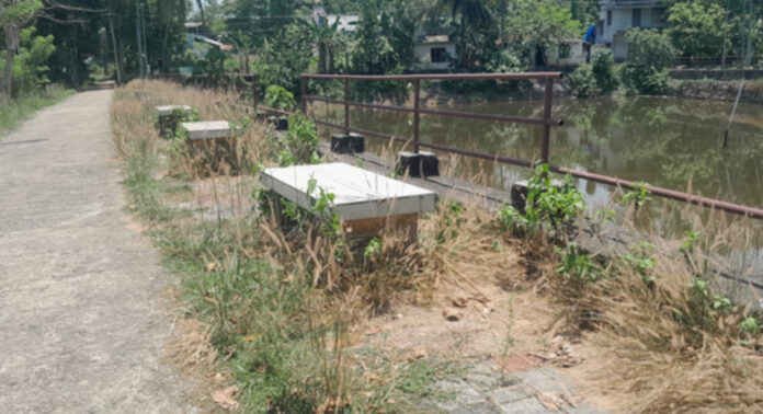 വള്ളിക്കോട് ആമ്പല്പ്പൂഞ്ചിറ മിനി പാര്ക്ക് സാമൂഹ്യ വിരുദ്ധരുടെ താവളമായി മാറി വള്ളിക്കോട് ആമ്പല്പ്പൂഞ്ചിറ മിനി പാര്ക്ക് സാമൂഹ്യ വിരുദ്ധരുടെ താവളമായി മാറി