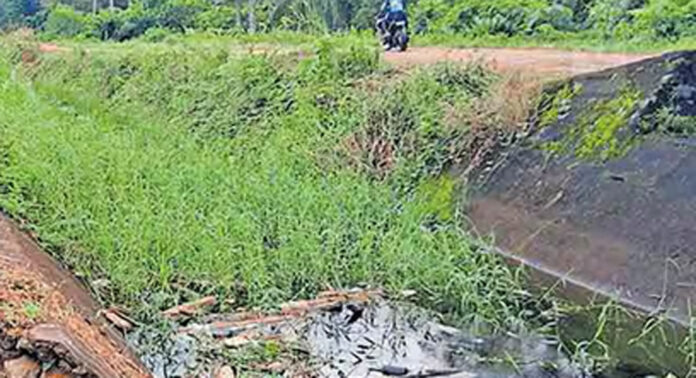വി.കോട്ടയത്ത് കനാലില് വെള്ളം ലഭിക്കുന്നില്ലെന്ന് നാട്ടുകാര് വി.കോട്ടയത്ത് കനാലില് വെള്ളം ലഭിക്കുന്നില്ലെന്ന് നാട്ടുകാര്