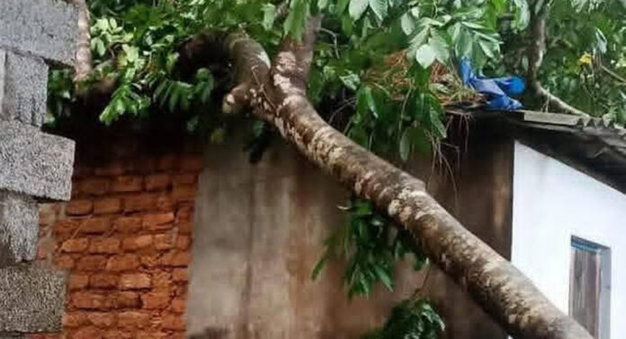 കോന്നിയുടെ മലയോര മേഖലകളില് വേനല് മഴ ശക്തം ; വൈദ്യുതി മുടങ്ങിയിട്ട് രണ്ട് ദിവസം കോന്നിയുടെ മലയോര മേഖലകളില് വേനല് മഴ ശക്തം ; വൈദ്യുതി മുടങ്ങിയിട്ട് രണ്ട് ദിവസം