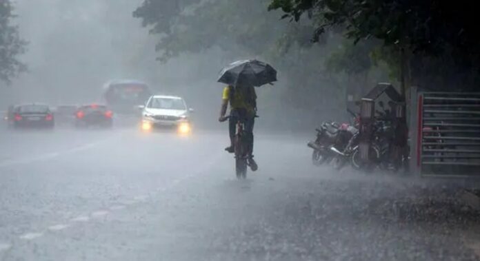 കേരളത്തിൽ അടുത്ത അഞ്ച് ദിവസം മഴയ്ക്ക് സാധ്യത ; രണ്ട് ജില്ലകൾക്ക് നാളെയും മറ്റന്നാളും യെല്ലോ അലേര്ട്ട് കേരളത്തിൽ അടുത്ത അഞ്ച് ദിവസം മഴയ്ക്ക് സാധ്യത ; രണ്ട് ജില്ലകൾക്ക് നാളെയും മറ്റന്നാളും യെല്ലോ അലേര്ട്ട്