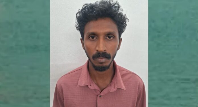 ആലപ്പുഴയിൽ യുവതി ജീവനൊടുക്കിയ കേസ് : ഒളിവിലായിരുന്ന പ്രതി പിടിയിൽ ആലപ്പുഴയിൽ യുവതി ജീവനൊടുക്കിയ കേസ് : ഒളിവിലായിരുന്ന പ്രതി പിടിയിൽ