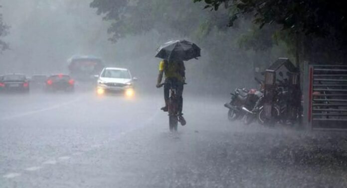 കൊച്ചിക്ക് ആശ്വാസമായി വേനൽ മഴയെത്തി ; ശക്തമായ കാറ്റിൽ പലയിടത്തും മരങ്ങൾ കടപുഴകി കൊച്ചിക്ക് ആശ്വാസമായി വേനൽ മഴയെത്തി ; ശക്തമായ കാറ്റിൽ പലയിടത്തും മരങ്ങൾ കടപുഴകി