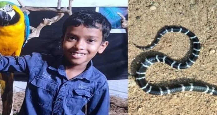 കോടാലിയിൽ പാമ്പിന്റെ കടിയേറ്റ് മരിച്ച ആൽജോയ്ക്ക് യാത്രയയപ്പ് നൽകി നാട് കോടാലിയിൽ പാമ്പിന്റെ കടിയേറ്റ് മരിച്ച ആൽജോയ്ക്ക് യാത്രയയപ്പ് നൽകി നാട്