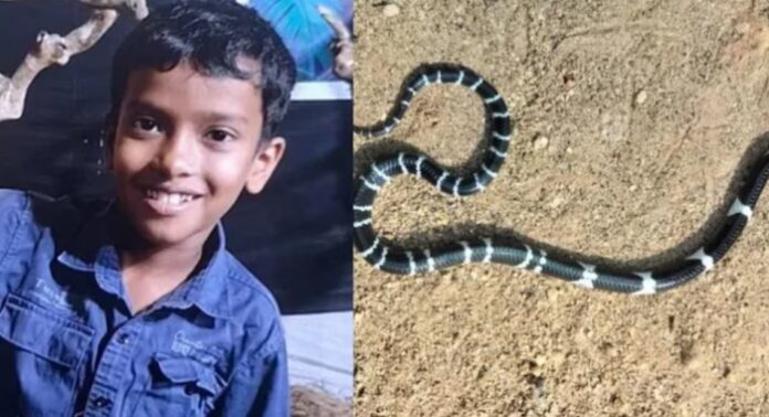 കോടാലിയിൽ പാമ്പുകടിയേറ്റ് കുട്ടി മരിച്ച സംഭവം ; പാമ്പുകളെ ഓടിക്കാൻ വീടിന് ചുറ്റും തീയിട്ട് വനം വകുപ്പ് കോടാലിയിൽ പാമ്പുകടിയേറ്റ് കുട്ടി മരിച്ച സംഭവം ; പാമ്പുകളെ ഓടിക്കാൻ വീടിന് ചുറ്റും തീയിട്ട് വനം വകുപ്പ്