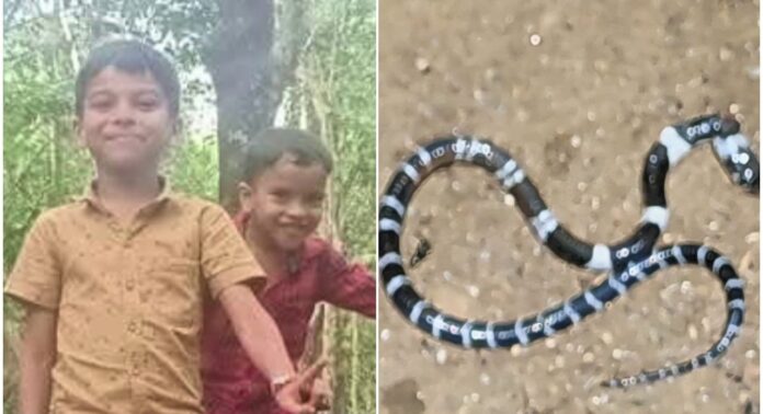 തൃശൂരില് പാമ്പുകടിയേറ്റ് ചികിത്സയില് കഴിയുന്ന അനോഷിനെ വെന്റിലേറ്ററിൽ നിന്ന് മാറ്റി തൃശൂരില് പാമ്പുകടിയേറ്റ് ചികിത്സയില് കഴിയുന്ന അനോഷിനെ വെന്റിലേറ്ററിൽ നിന്ന് മാറ്റി