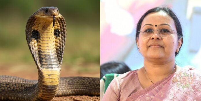 പാമ്പുകടിയേറ്റാല് സമയബന്ധിതമായ ചികിത്സ ഉറപ്പാക്കണം ; നിർദേശവുമായി ആരോഗ്യമന്ത്രി പാമ്പുകടിയേറ്റാല് സമയബന്ധിതമായ ചികിത്സ ഉറപ്പാക്കണം ; നിർദേശവുമായി ആരോഗ്യമന്ത്രി