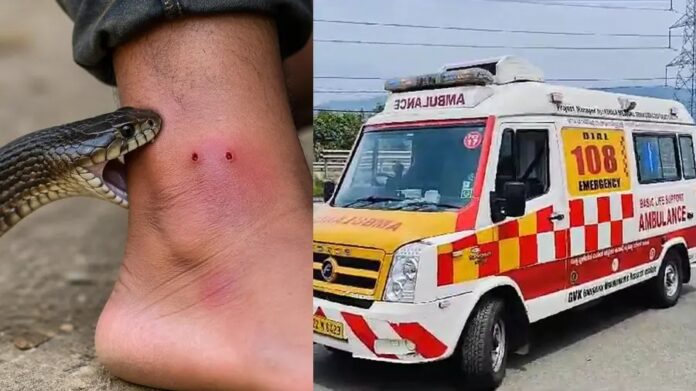 ആന്റി സ്നേക്ക് വെനം ഉള്ള ആശുപത്രികള്ക്കായി ഇനി അലയേണ്ട ; 108ല് വിളിക്കാൻ അഭ്യർത്ഥിച്ച് ആരോഗ്യവകുപ്പ് ആന്റി സ്നേക്ക് വെനം ഉള്ള ആശുപത്രികള്ക്കായി ഇനി അലയേണ്ട ; 108ല് വിളിക്കാൻ അഭ്യർത്ഥിച്ച് ആരോഗ്യവകുപ്പ്
