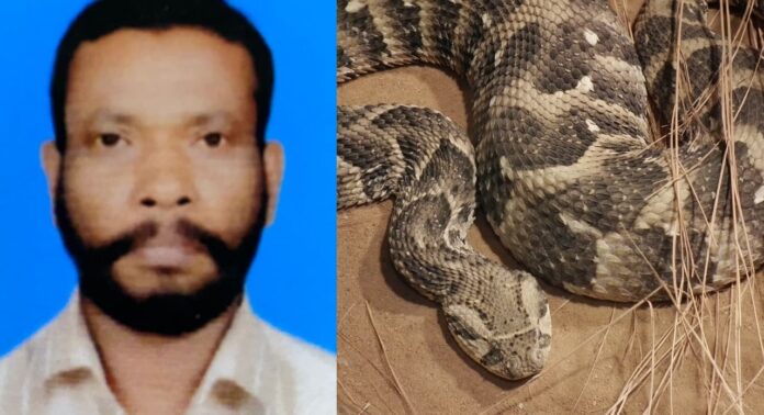 കായംകുളത്ത് പന്ത്രണ്ട് വർഷം മുമ്പ് പാമ്പുകടിയേറ്റ് ചികിത്സയിലായിരുന്ന ആൾ മരിച്ചു കായംകുളത്ത് പന്ത്രണ്ട് വർഷം മുമ്പ് പാമ്പുകടിയേറ്റ് ചികിത്സയിലായിരുന്ന ആൾ മരിച്ചു