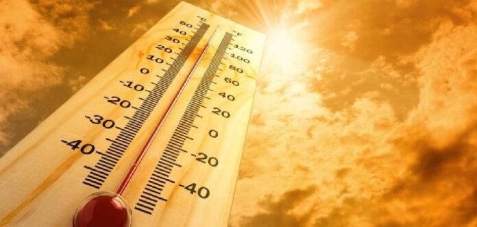പാലക്കാട് മധ്യവയസ്കന് സൂര്യാതപമേറ്റു പാലക്കാട് മധ്യവയസ്കന് സൂര്യാതപമേറ്റു
