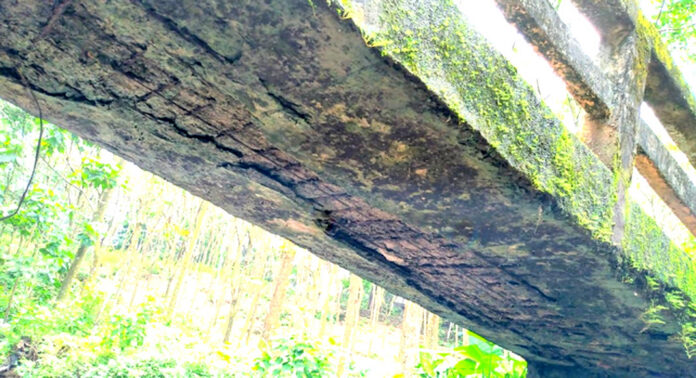 ഏതുനിമിഷവും തകര്ന്നുവീഴാന് കാത്തിരിക്കുന്ന ഇടമണ് പാറേക്കടവ് നടപ്പാലം ഏതുനിമിഷവും തകര്ന്നുവീഴാന് കാത്തിരിക്കുന്ന ഇടമണ് പാറേക്കടവ് നടപ്പാലം