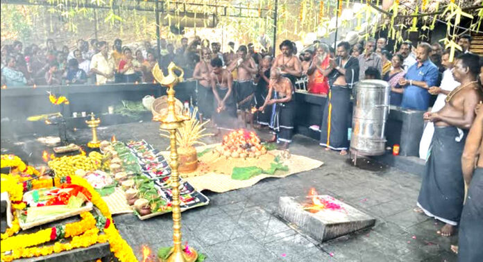 പത്താമുദയ മഹോത്സവത്തിന് കല്ലേലികാവിൽ ഭദ്രദീപം തെളിഞ്ഞു പത്താമുദയ മഹോത്സവത്തിന് കല്ലേലികാവിൽ ഭദ്രദീപം തെളിഞ്ഞു