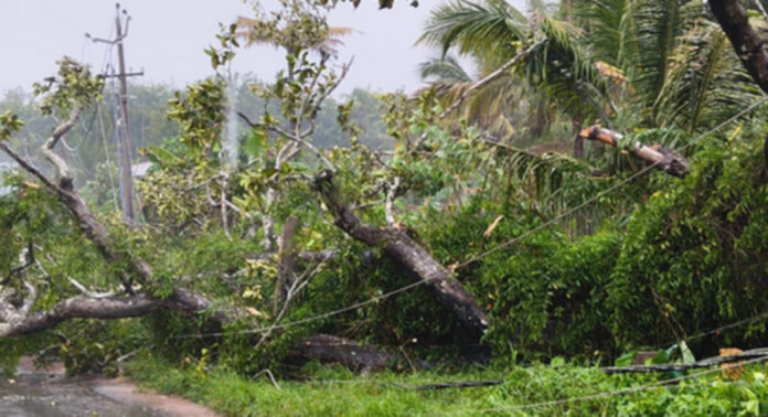 പന്തളം തെക്കേക്കരയില് ശക്തമായ കാറ്റിലും മഴയിലും നാശനഷ്ടം പന്തളം തെക്കേക്കരയില് ശക്തമായ കാറ്റിലും മഴയിലും നാശനഷ്ടം
