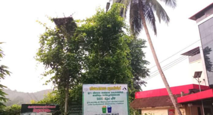 കാടുകയറി പെരുന്തേനരുവി ടൂറിസം പദ്ധതി – തെരുവ് വിളക്കുകള് കണ്ണടച്ചു – സൌരോര്ജ്ജ വിളക്കുകള് മിഴിതുറക്കുന്നില്ല കാടുകയറി പെരുന്തേനരുവി ടൂറിസം പദ്ധതി – തെരുവ് വിളക്കുകള് കണ്ണടച്ചു – സൌരോര്ജ്ജ വിളക്കുകള് മിഴിതുറക്കുന്നില്ല