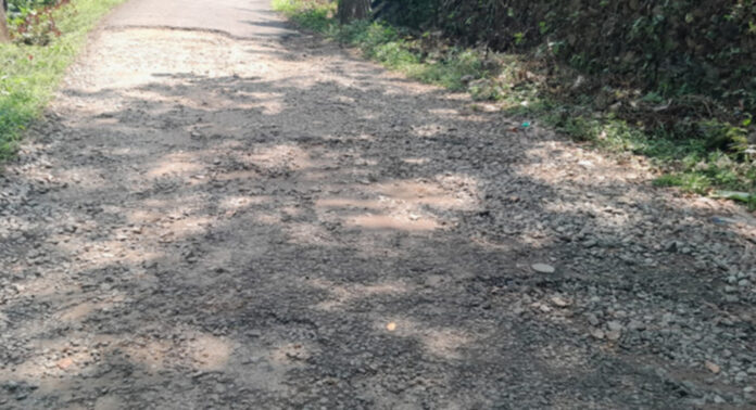 തകര്ന്ന് തരിപ്പണമായി മേടപ്പാറയിലേക്കുള്ള റോഡ് ; തിരിഞ്ഞുനോക്കാതെ തണ്ണിത്തോട് പഞ്ചായത്ത് തകര്ന്ന് തരിപ്പണമായി മേടപ്പാറയിലേക്കുള്ള റോഡ് ; തിരിഞ്ഞുനോക്കാതെ തണ്ണിത്തോട് പഞ്ചായത്ത്