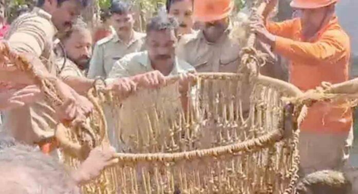 കല്യാണം ക്ഷണിക്കാനെത്തിയപ്പോൾ നായ കുരച്ചുചാടി ; ഭയന്ന് കിണറ്റില് വീണ് 60കാരൻ കല്യാണം ക്ഷണിക്കാനെത്തിയപ്പോൾ നായ കുരച്ചുചാടി ; ഭയന്ന് കിണറ്റില് വീണ് 60കാരൻ