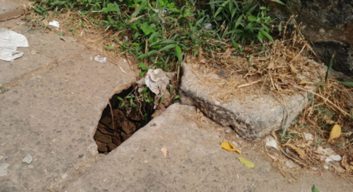 അപകടക്കെണിയായി പത്തനംതിട്ട നഗരത്തിലെ ഓടകള് അപകടക്കെണിയായി പത്തനംതിട്ട നഗരത്തിലെ ഓടകള്