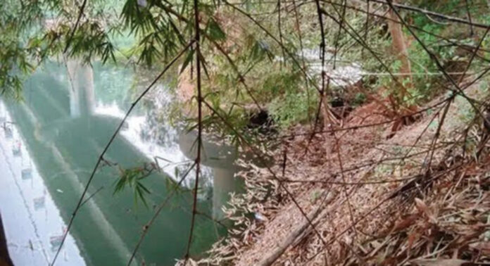 പന്തളത്ത് അച്ചന്കോവിലാറിന്റെ തീരമിടിയുന്നു : വീടുകള്ക്കും പാലങ്ങള്ക്കും ഭീഷണി പന്തളത്ത് അച്ചന്കോവിലാറിന്റെ തീരമിടിയുന്നു : വീടുകള്ക്കും പാലങ്ങള്ക്കും ഭീഷണി
